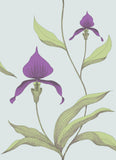 66/4027 - Orchid
