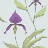 66/4027 - Orchid