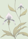 66/4028 - Orchid
