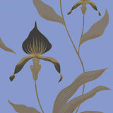 66/4030 - Orchid