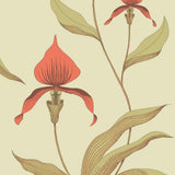 66/4033 - Orchid
