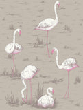 66/6042 - Flamingos 1
