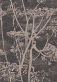 66/7048 - Cow Parsley