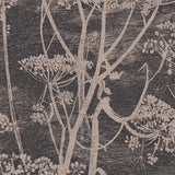 66/7048 - Cow Parsley