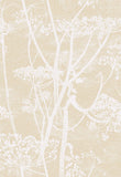 66/7049 - Cow Parsley