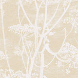 66/7049 - Cow Parsley