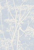 66/7050 - Cow Parsley