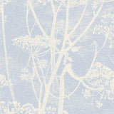 66/7050 - Cow Parsley
