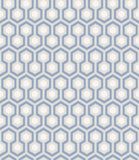 66/8054 - Hicks' Hexagon