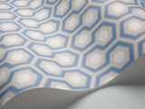 66/8054 - Hicks' Hexagon