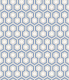 66/8054 - Hicks' Hexagon
