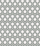 66/8055 - Hicks' Hexagon