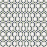 66/8055 - Hicks' Hexagon