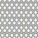66/8055 - Hicks' Hexagon