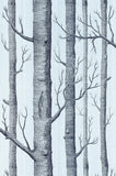 69/12150 - Woods