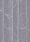 69/12151 - Woods 3
