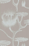 69/3110 - Lily