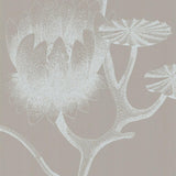 69/3110 - Lily