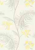 69/8132 - Mimosa