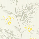69/8132 - Mimosa
