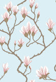 72/3011 - Magnolia 1