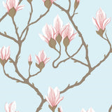 72/3011 - Magnolia 1