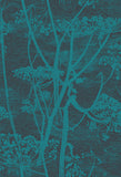112/8030 - Cow Parsley 1