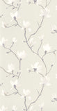 CAD01 29