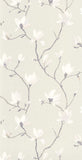 CAD01 29