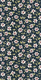 CAD01 36