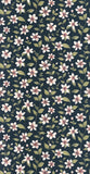 CAD01 36