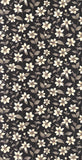 CAD01 38