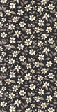 CAD01 38