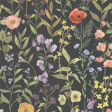 CAD01 15