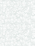 88/11044 - Dialytra