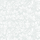 88/11044 - Dialytra