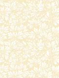 88/11046 - Dialytra