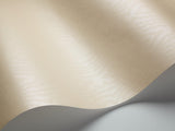 88/13051 - Moire