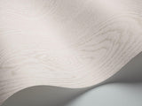 92/5021 - Wood Grain
