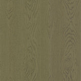 92/5024 - Wood Grain