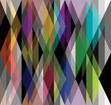 93/6020 - Circus