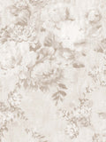 BLOSSOM II c
