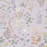 BOTANICA b