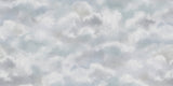 CLOUDS b
