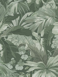 PALM LEAF c