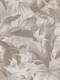 PALM LEAF b