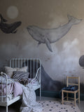 WHALES IN THE SKY b