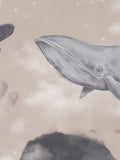 WHALES IN THE SKY b