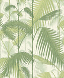 95/1001 - Palm Jungle 1