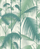 95/1002 - Palm Jungle